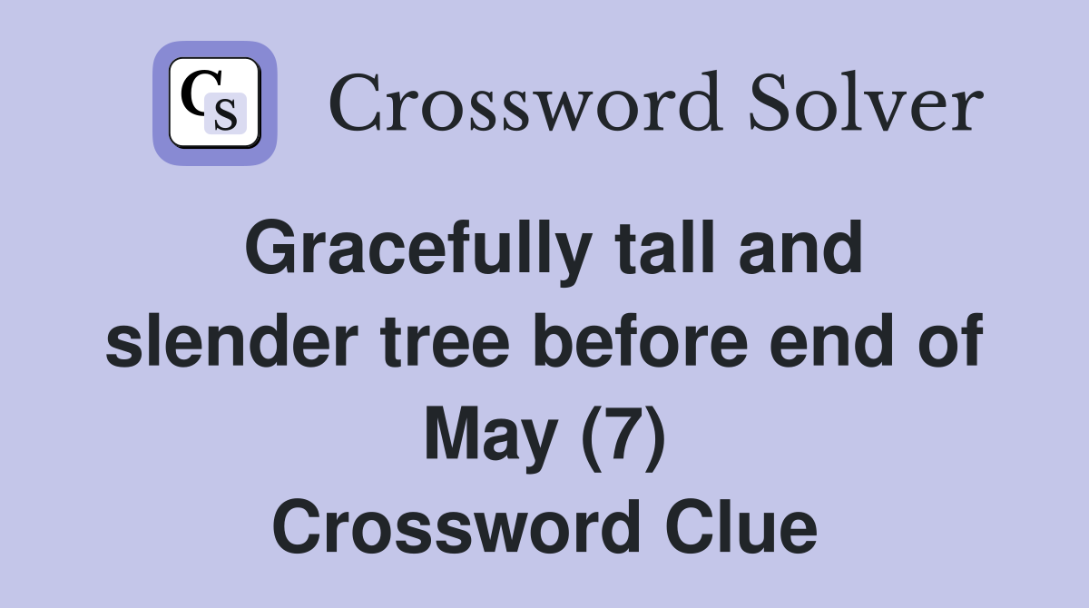 Gracefully tall and slender tree before end of May (7) Crossword Clue